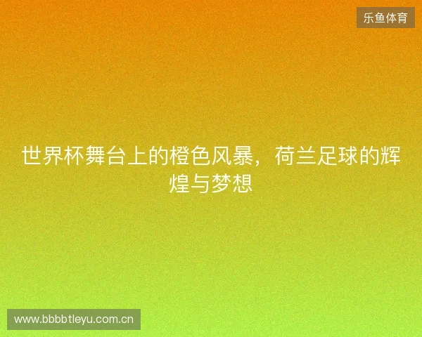 世界杯舞台上的橙色风暴，荷兰足球的辉煌与梦想